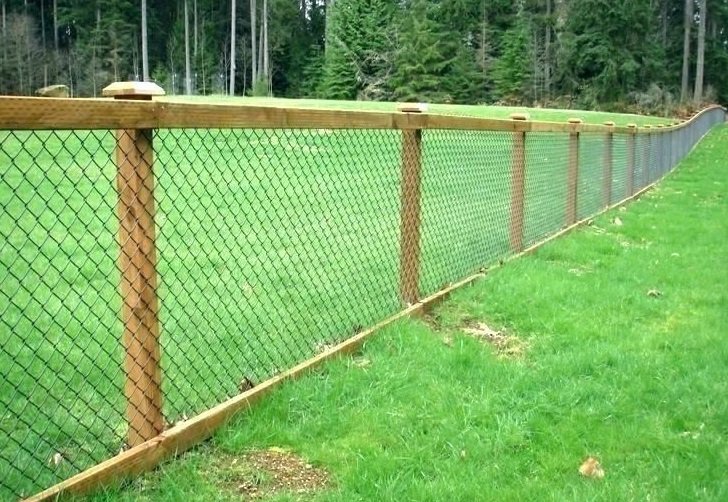 Choosing the Right Type of Do It Yourself Pet Fence for Your Needs