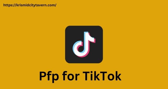 Pfp for TikTok: Enhance your TikTok Profile 